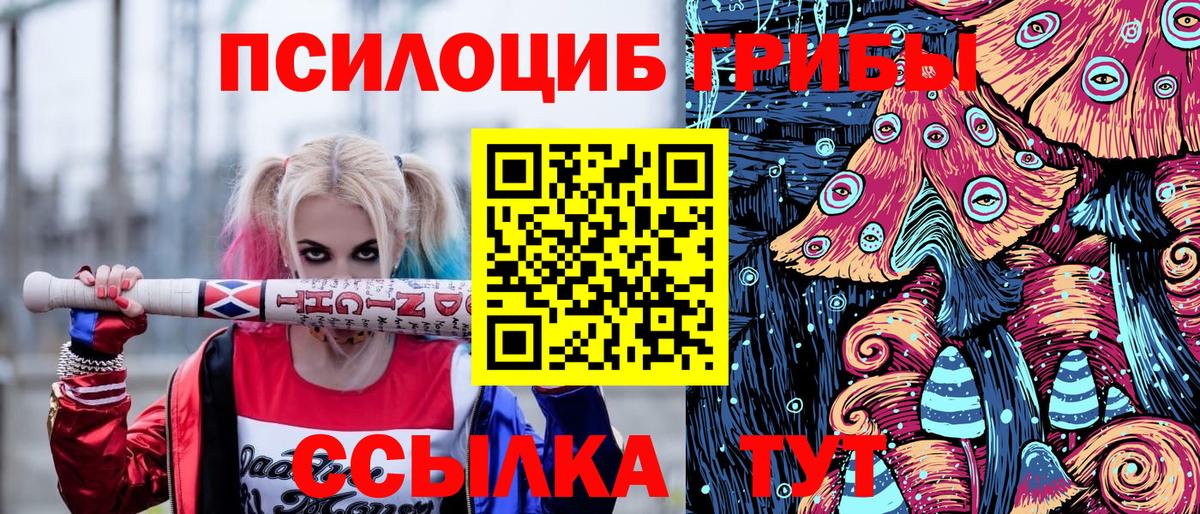 Белебей  Галлюциногенные грибы прущие грибы  Вход с VPN 